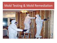 mold inspections and testing