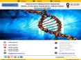 Global Genome Editing/Genome Engineering Market , Trends, Share, Growth Drivers, Industry Analysis & Forecast 2017-2025 PowerPoint PPT Presentation