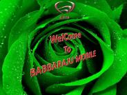 Conference Vans Designer