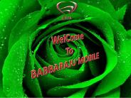 Conference Vans Designer (1)