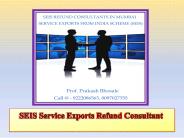 SEIS Service Exports Refund Consultant