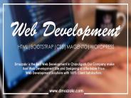 SEO Company in Chandigarh