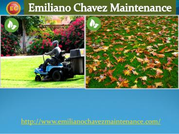 Emilianio chavez maintenance- junk removal Portland