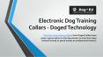 Electronic Dog Training Collars - Doged Technology PowerPoint PPT Presentation