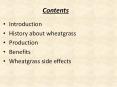 WheatGrass PPT PowerPoint PPT Presentation
