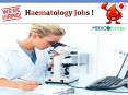 Haematologist Jobs PowerPoint PPT Presentation