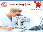 Haematologist Jobs