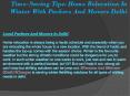 Time-Saving Tips: Home Relocation In Winter With Packers And Movers Delhi PowerPoint PPT Presentation