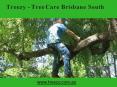Tree Care Brisbane South PowerPoint PPT Presentation