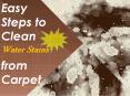 Carpet Cleaning Tips for Home and Hotels PowerPoint PPT Presentation