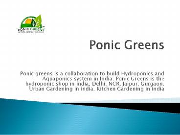 hydroponic shop in india, Delhi, NCR