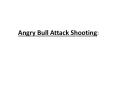 Angry Bull Attack Shooting PowerPoint PPT Presentation