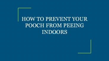 HOW TO PREVENT YOUR POOCH FROM PEEING INDOORS