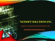 Quality IT Consulting Services Provider in USA