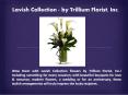 Lavish Flower Collection - by Trillium Florist, Inc PowerPoint PPT Presentation