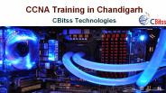 CCNA Training in Chandigarh (7)