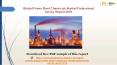 Global Power Plant Chemicals Market Professional Survey Report 2018 PowerPoint PPT Presentation