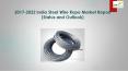 2017-2022 India Steel Wire Rope Market Report (Status and Outlook) PowerPoint PPT Presentation
