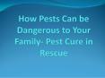 How Pests Can be Dangerous to Your Family- Pest Cure in Rescue PowerPoint PPT Presentation