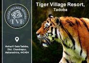 Tadoba Tiger Resort (1)