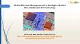 Global thermal management technologies market size, status and forecast 2025 PowerPoint PPT Presentation