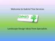 Landscape Design Los Angeles at Gabrieltreeservices.com (2)