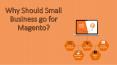 Why Should Small Business go for Magento? PowerPoint PPT Presentation