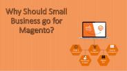 Why Should Small Business go for Magento?