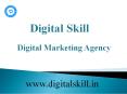 Best Digital Marketing Agency in Delhi/NCR| Digital Skill (1) PowerPoint PPT Presentation