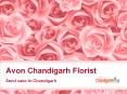 Send Cake to Chandigarh (2) PowerPoint PPT Presentation