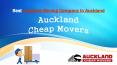 Seeking For Cheap Furniture Moving Company in Auckland