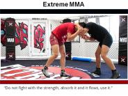 Extreme MMA