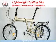 Lightweight Folding Bike (1)
