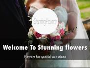 Detail Presentation About Stunning flowers