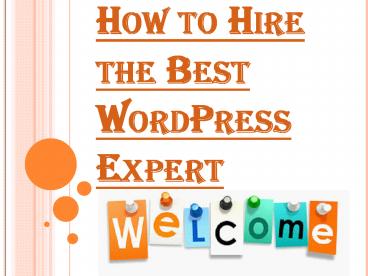 Finding and Hiring the Best WordPress Expert