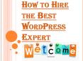Finding and Hiring the Best WordPress Expert PowerPoint PPT Presentation