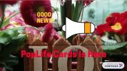 Pop Up Birthday Cards