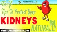 Top 7 Tips To Protect Your Kidneys Naturally