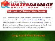 Long Island Mold Removal