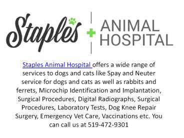 Dog knee repair london Ontario