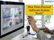 How Does Payrool Software System Work?
