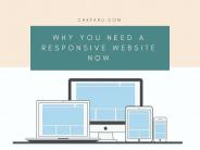 Codeigniter Project, Magento Web Design Consultants, | Chetaru