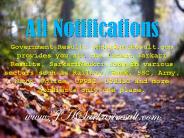 All Notifications (13)