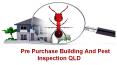 Search for  Pre Purchase Building And Pest Inspection QLD PowerPoint PPT Presentation