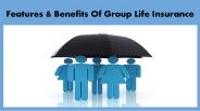 Features & Benefits Of Group Life Insurance