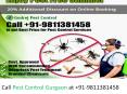 Pest Control Gurgaon PowerPoint PPT Presentation