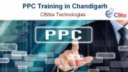 PPC Training in Chandigarh (15)