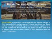 Best Electric Bicycle in China (1)