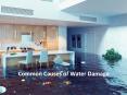 Common Causes of Water Damage PowerPoint PPT Presentation
