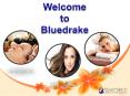 Welcome  to  Bluedrake PowerPoint PPT Presentation